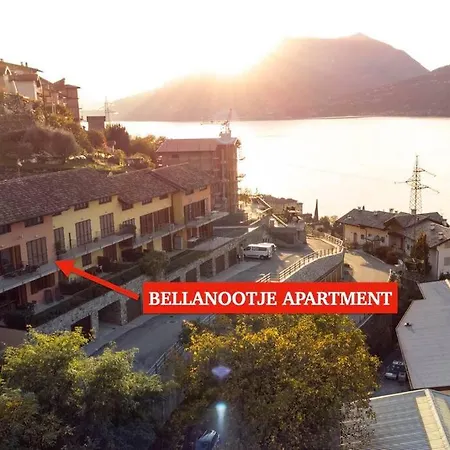 Bellanootje By Design *